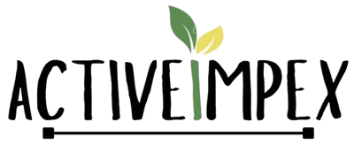 Active Impex Logo