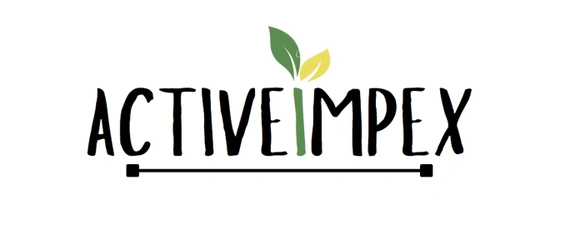 Active Impex Company Story